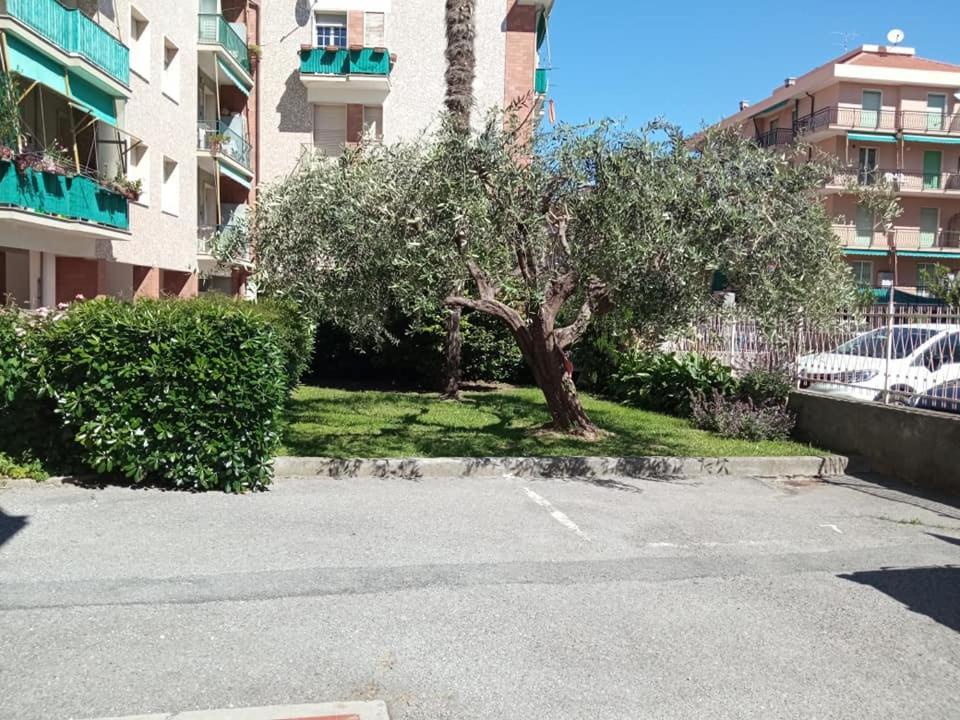 Nonna Pella Casa Vacanze appartamento Corbezzolo Pietra Ligure Camera foto